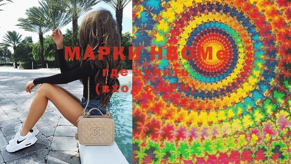 стафф Щёлкино