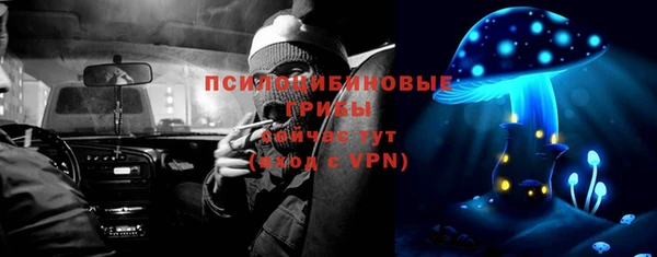 индика Яранск