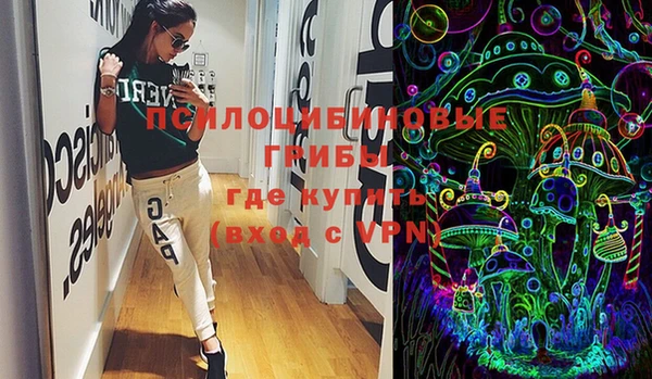 стафф Щёлкино