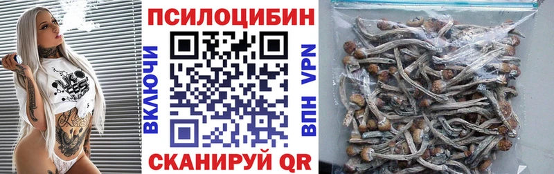 Галлюциногенные грибы Psilocybe  Купить  Тарко-Сале 